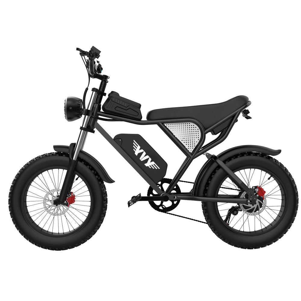 YVY Electric Bike 1000W 48V15AH