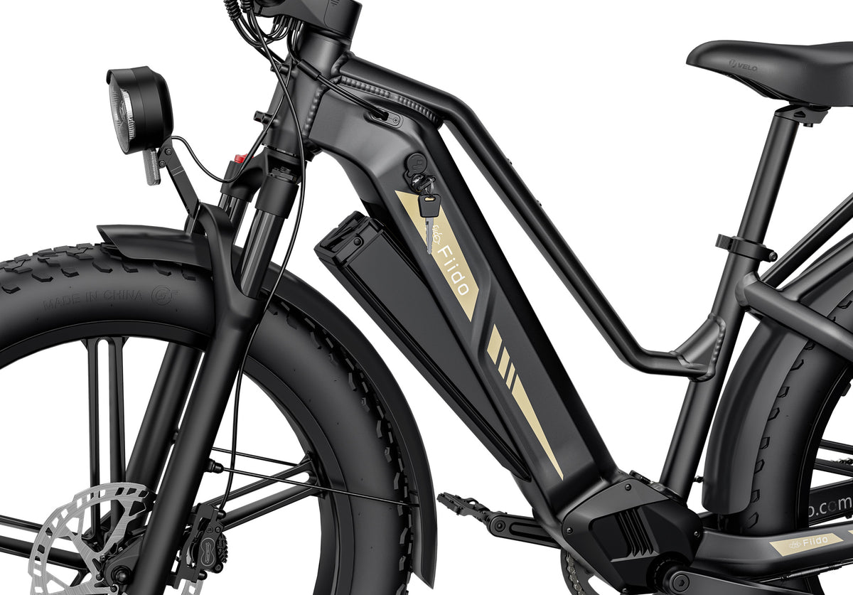 e bike damen fiido FIIDO Titan 48 V 14.5 Ah Fat Tire Touring E-bike – Kiwi eRide