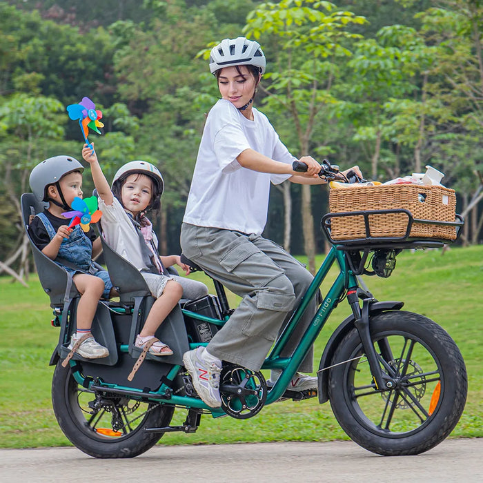 Fiido T2 Longtail Cargo E-bike Green