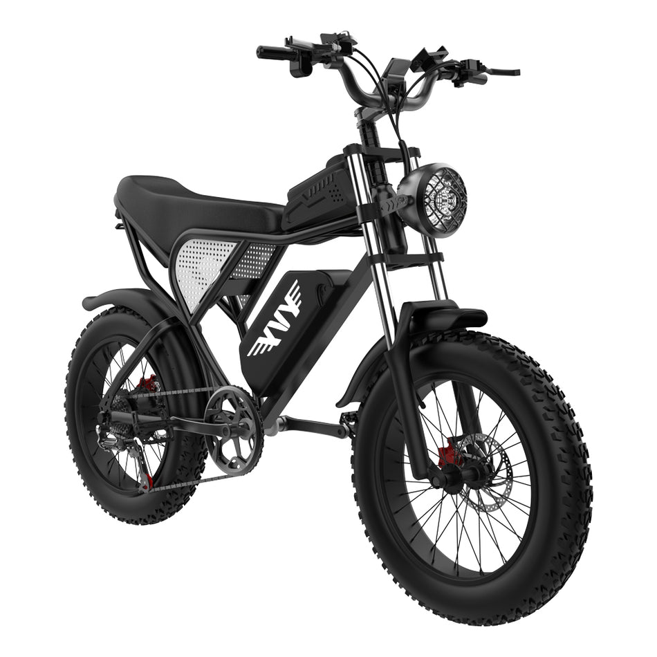 Ridstar YVY Electric Bike 1000W 48V15AH