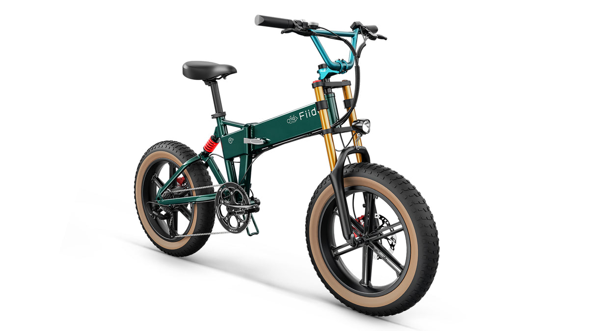Fiido M1 E bike 48V 13Ah Folding Electric Bike – Kiwi eRide