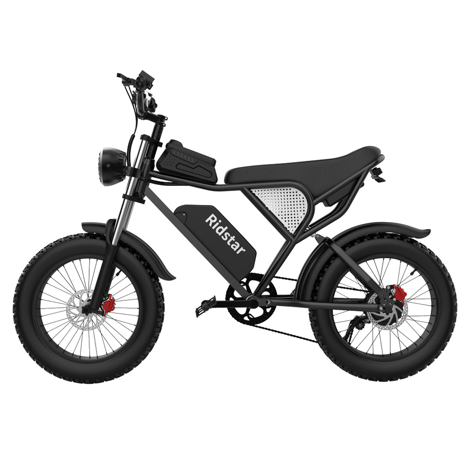Ridstar Q20 Electric Bike