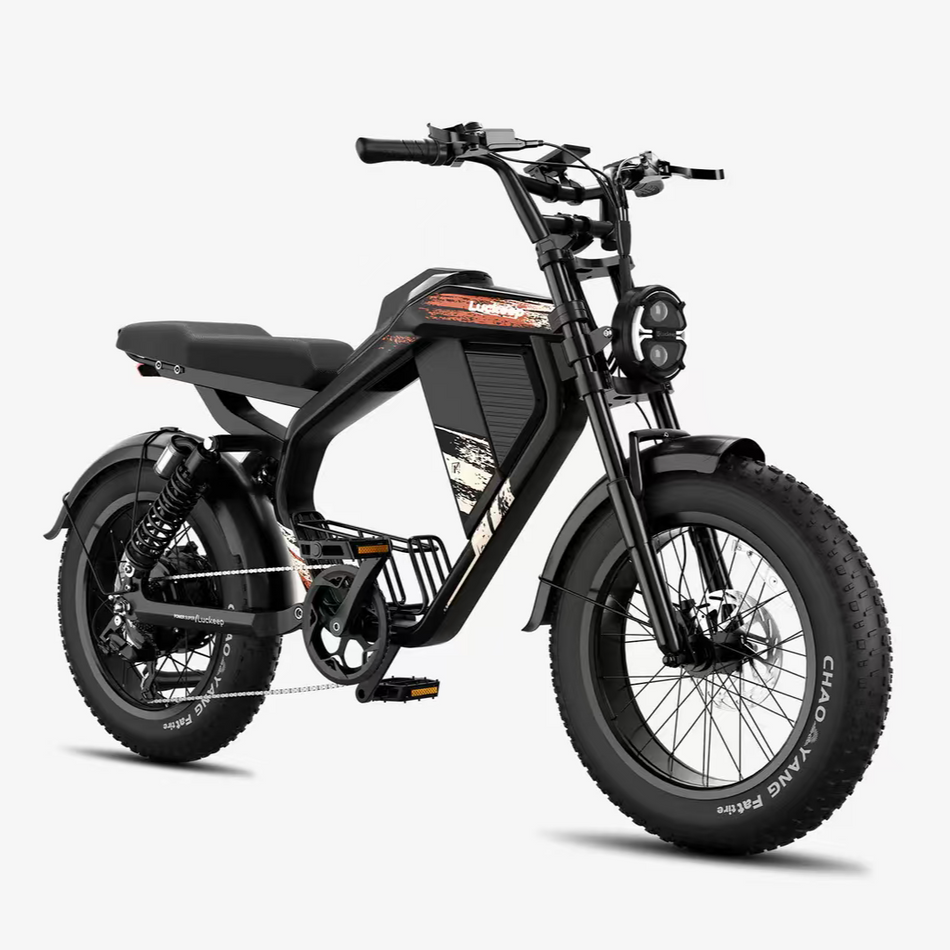 Luckeep M5 Electric Bike 25km/h