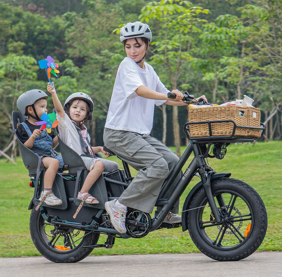 Fiido T2 Longtail Cargo E-bike Grey
