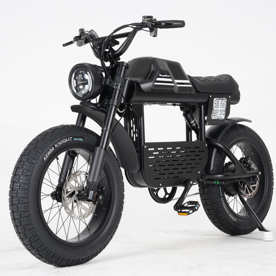 Mangosteen FT-01 BLACK ELECTRIC BIKE