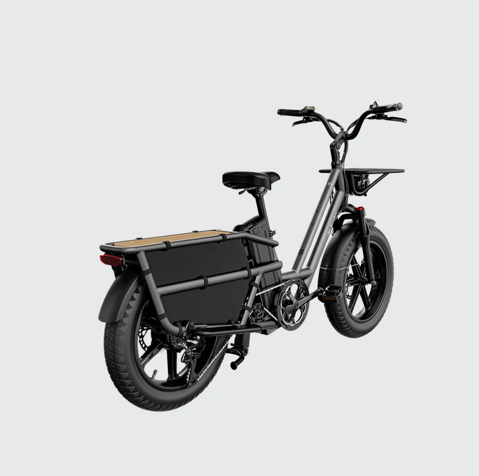 Fiido T2 Longtail Cargo E-bike Grey