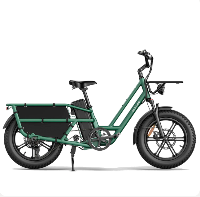 Fiido T2 Longtail Cargo E-bike Green