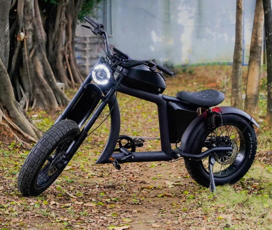 Mangosteen FT-02 ELECTRIC BIKE E-BIKE BLACK