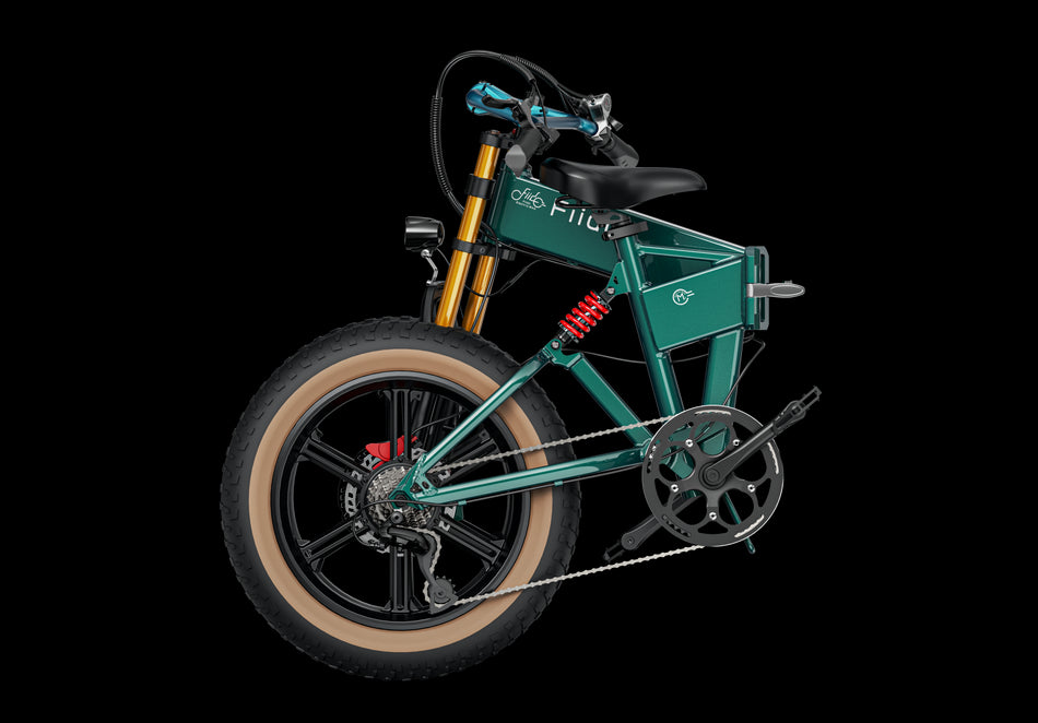 Fiido M1 Folding Electric Bike