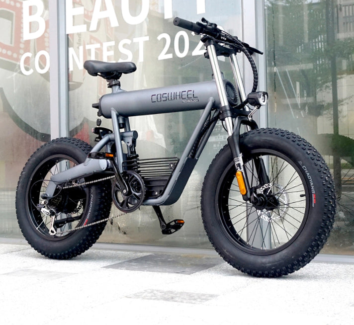 Coswheel T20 20AH E bike