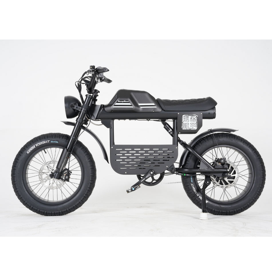 Mangosteen FT-01 BLACK ELECTRIC BIKE