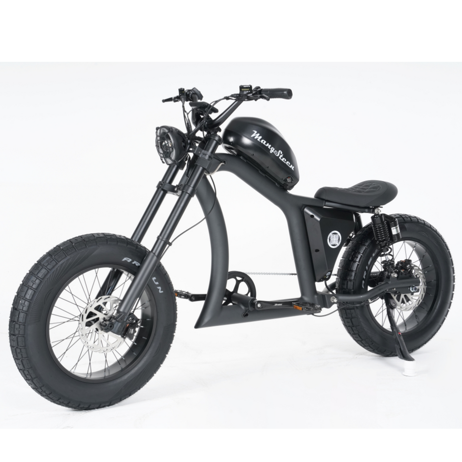 Mangosteen FT-02 ELECTRIC BIKE E-BIKE BLACK