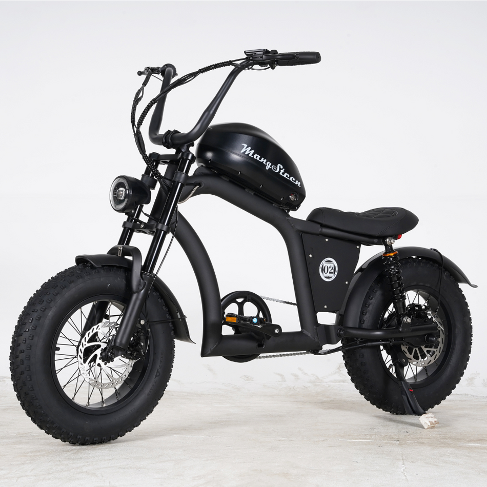 Mangosteen FT-02 MINI ELECTRIC BIKE BLACK