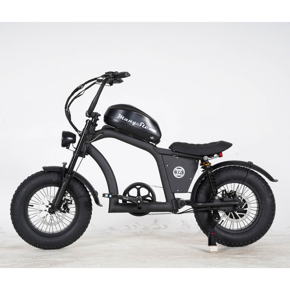 Mangosteen FT-02 MINI ELECTRIC BIKE BLACK