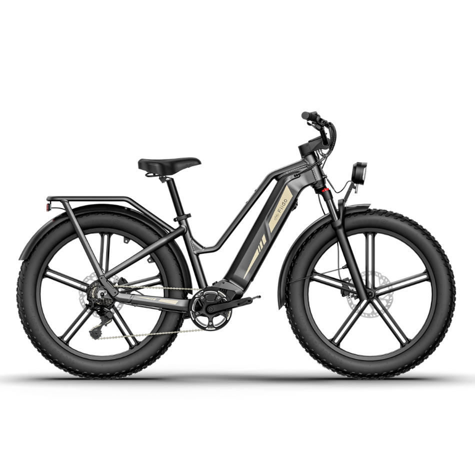 FIIDO Titan Fat Tire Touring E-bike