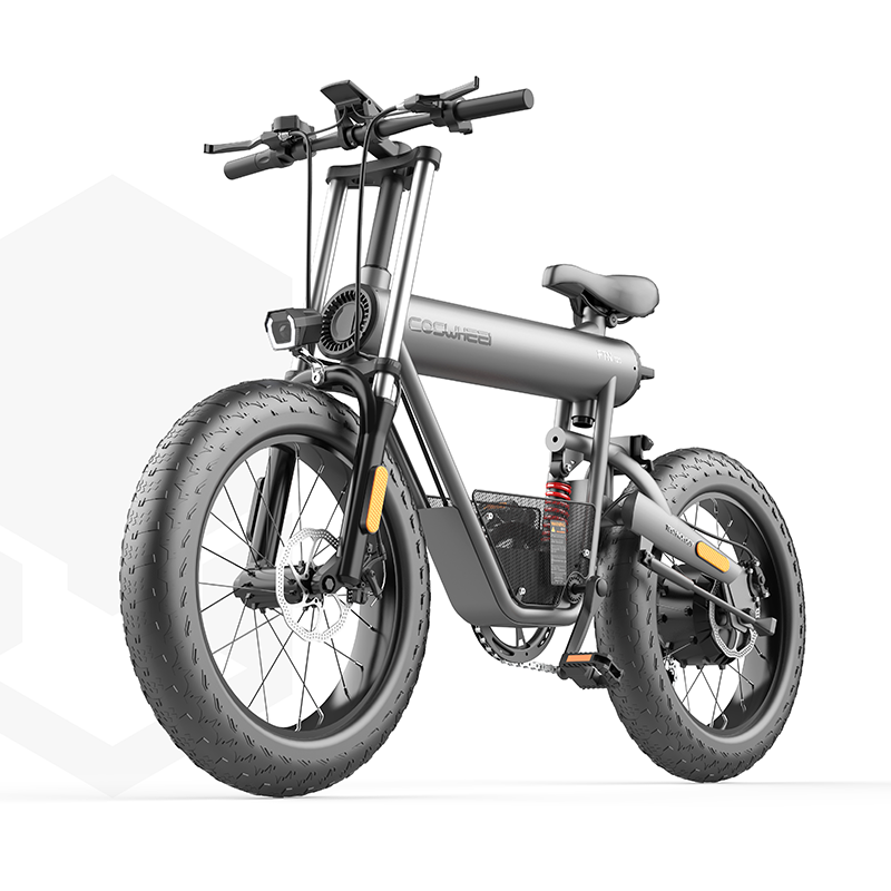 Coswheel T20 20AH E bike